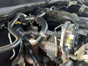 Xe Ford Everest Ambiente 2.2L 4x2 MT 2018