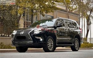 Xe Lexus GX 460 2010
